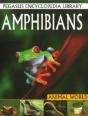 Amphibians - Preview