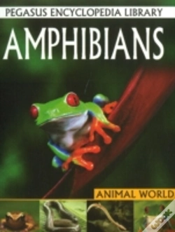 Capa do artigo Amphibians
