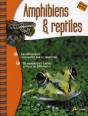 Amphibiens Et Reptiles - Preview