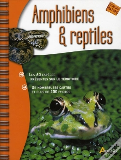 Capa do artigo Amphibiens Et Reptiles