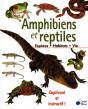 Amphibiens Et Reptiles - Preview