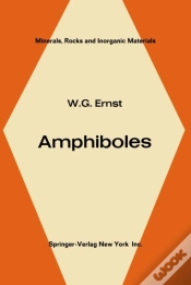 Capa do artigo Amphiboles