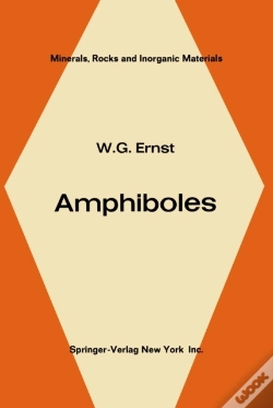Capa do artigo Amphiboles