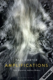 Capa do artigo Amplifications