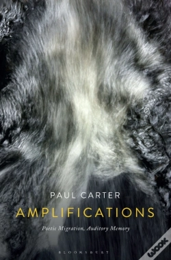 Capa do artigo Amplifications
