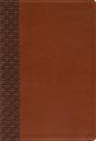 Amplified Holy Bible, Large Print, Leathersoft, Brown - Preview