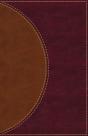 Amplified Reading Bible, Imitation Leather, Brown, Indexed - Preview