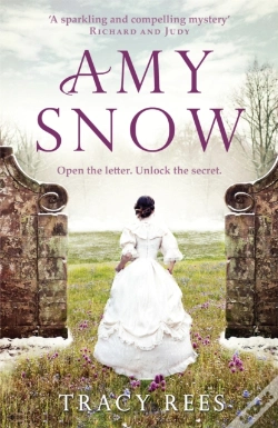 Capa do artigo Amy Snow
