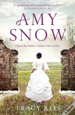 Capa do artigo Amy Snow
