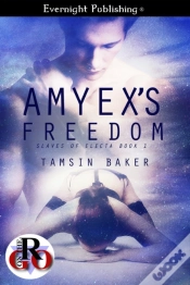 Capa do artigo Amyex