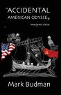 An Accidental American Odyssey - Preview