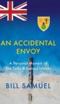 An Accidental Envoy - Preview