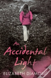 Capa do artigo An Accidental Light
