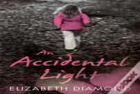 An Accidental Light