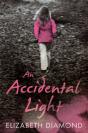 An Accidental Light - Preview