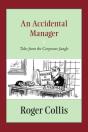 An Accidental Manager - Preview