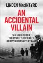 An Accidental Villain - Preview