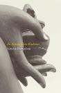 An Almost-Gone Radiance - Preview