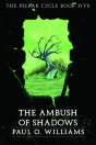An Ambush Of Shadows - Preview
