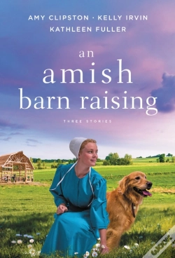 Capa do artigo An Amish Barn Raising