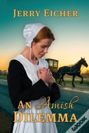 Capa do artigo An Amish Dilemma