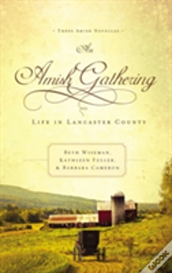 Capa do artigo An Amish Gathering