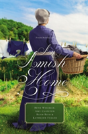 An Amish Home - Preview