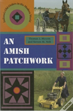 Capa do artigo An Amish Patchwork