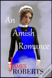 Capa do artigo An Amish Romance
