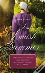 Capa do artigo An Amish Summer