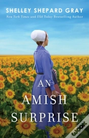 Capa do artigo An Amish Surprise