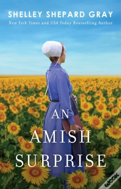 Capa do artigo An Amish Surprise