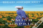 An Amish Surprise