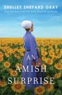 An Amish Surprise - Preview