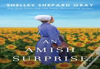An Amish Surprise