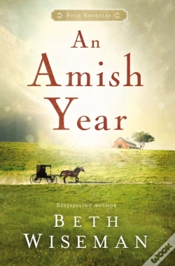 Capa do artigo An Amish Year