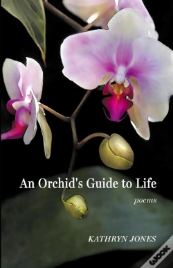 Capa do artigo An An Orchid'S Guide To Life