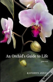 Capa do artigo An An Orchid