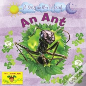 Capa do artigo An Ant