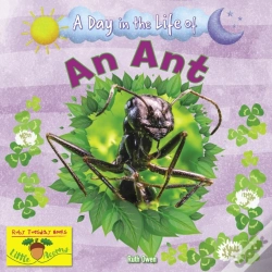 Capa do artigo An Ant