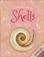 An Anthology Of Shells