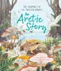 An Arctic Story - Preview