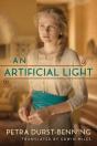 An Artificial Light - Preview