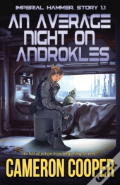 An Average Night On Androkles