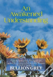 Capa do artigo An Awakened Understanding
