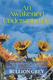 Capa do artigo An Awakened Understanding
