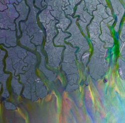 Capa do artigo An Awesome Wave - CD