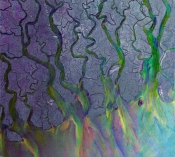 Capa do artigo An Awesome Wave - CD