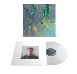 Capa do artigo An Awesome Wave - Vinil