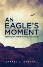 An Eagle'S Moment - Preview